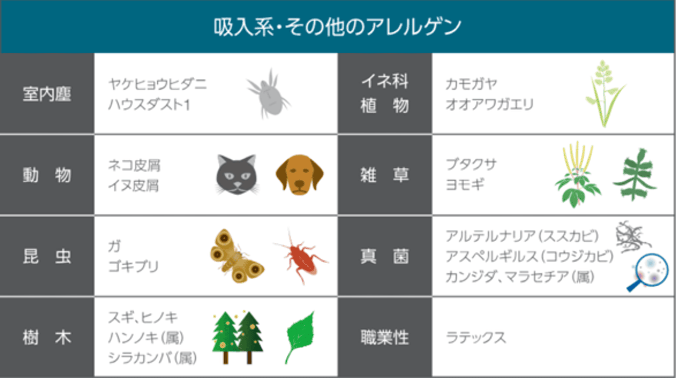 吸入系・その他のアレルゲン